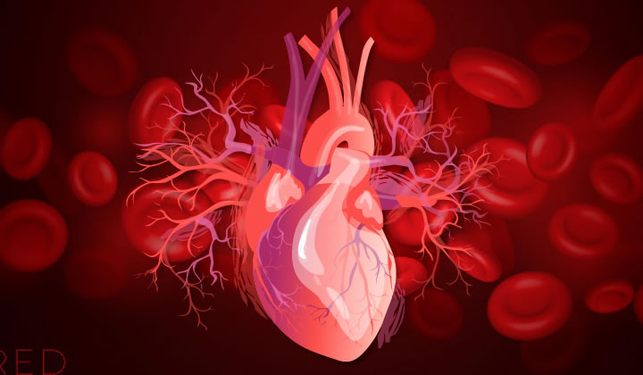 Adapting cardiovascular disease care to the ‘new norm’ of the COVID-19 era: same standard, different delivery